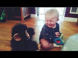 Video Funny Baby Scared Toy