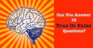 But these fun questions to ask are suitable for all abilities and all ages, making for a Can You Answer 12 True Or False Questions Quizpug