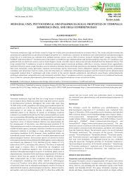 Image result for Terminalia kilimandscharica