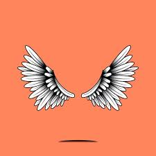 Orange Bird With Black And White Wings Pair Of Wings Element On An Orange Background Vector Free Image By Rawpixel Com Bird In 2020 Vector Free Orange Background Vector