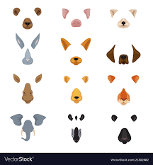 Funny Animal Faces For Phone Video Chart App