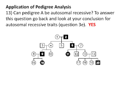 The answers to these questions tell me a great deal about their personalities. Lab Pedigree Analysis Ppt Download