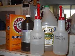 2) sand away any mold and vacuum up the dust. How To Clean Mold Maid Brigade Blog