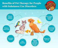 Animal therapy, also called pet therapy or animal assisted therapy, refers to various services using animals to help people with specific physical or mental health conditions. Pets And Substance Abuse Does Animal Assisted Treatment Work