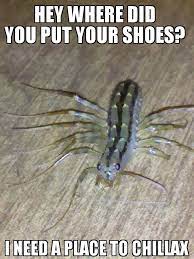 Nightmare House Centipede Meme By Stampede Memedroid