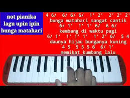 Bunga matahari sangat cantik,kembang di waktu pagi,daunnya hijau bunganya kuning,memikat kumbang lalu,bunga matahari sangat cantik,di halaman rumah ku,dari l. Not Pianika Lagu Upin Ipin