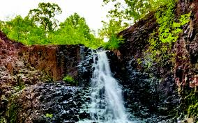 Daniel K Salvante And The Essex County Park System Bestofessex Com