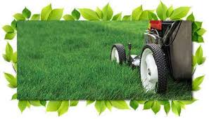 We don't like the term 'cheap lawn mowing service' because we feel that implies lesser quality, but we strive to provide an affordable mowing service. Lawn Mowing Service 10 Off For New Clients