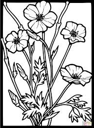Poppy coloring pages are also known as remembrance day which can be found as part of the coloring pages applicable for children. Poppy Coloring Pages For Kids Coloring Home
