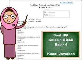 Soal tidak dijawab diberi nilai 0. Soal Dan Kunci Jawaban Kelas 1 Ipa Bab Benda Dan Sifatnya