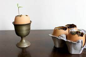 The problems created by using it depends on what your soil test shows. 6 Kitchen Scraps To Use In The Garden Even If You Don T Compost