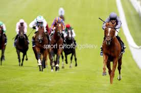 523 likes · 19 talking about this. Serpentine And Emmet Mcnamara Win Epsom Derby 2020 Images Horse Racing Posters