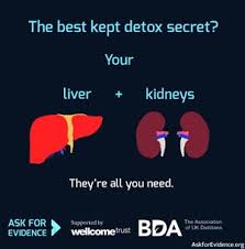 Check spelling or type a new query. Alina Petre Msc Rd Alinanutrition Twitter