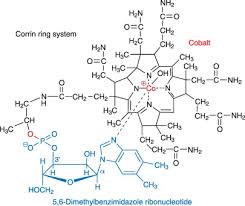 Cyanocobalamin and hydroxocobalamin are synthetic forms of vitamin b12. Vitamin B12 An Overview Sciencedirect Topics