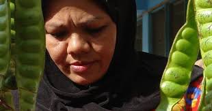 Manfaat Pete untuk Ibu Hamil dan Dampak Buruknya