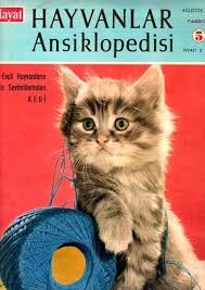 Hayat Hayvanlar Ansiklopedisi August 1966 Cover Cats Cover Animals