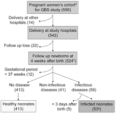 Flow Chart Of Data Collection Gestation Period 35 37