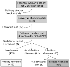 flow chart of data collection gestation period 35 37