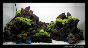 Green Reef Optiwhite 90x45x45 Aquascape Planted Aquarium Nature Aquarium
