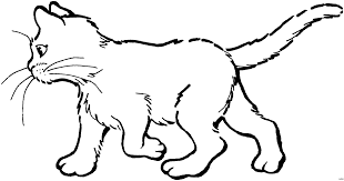 Pin Von Super Malvorlagen Auf Katzen Malvorlagen Ausmalbilder Katzen Malvorlagen Ausmalbilder
