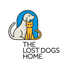 We believe this breed is one of the most gentle, honest and trainable breeds we deal with and we have many breeds Second Chance Animal Rescue Inc Home Facebook