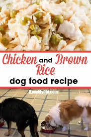 With all the chicken recipes i've tried this month, i thought, why not throw in some rice in the mix?. Chicken And Brown Rice Dog Food Recipe I Love My Chi