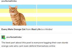Not Garfield He S Not Real Tumblr
