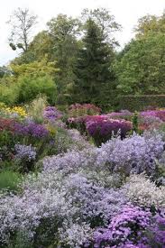 Pin On Ss Garden Ideas
