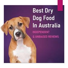 Super angebote für perfect pets hier im preisvergleich. What Is The Best Dog Food In Australia 2021 Pet Food Reviews Australia