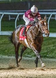 Check spelling or type a new query. Slideshow Meet The 2021 Preakness Stakes Contenders America S Best Racing
