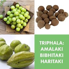 The Three Fruits of Triphala