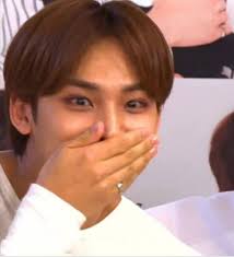 97 L I N E Seventeen Kpop Meme Faces Seventeen Memes