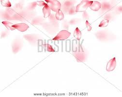 Salon hairdresser beauty hair fashion woman barber haircut makeup. Apple Flower Flying Vector Photo Free Trial Bigstock