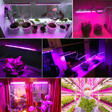 Check spelling or type a new query. 85 265v 110v 220v 25w Led Grow Light 11 Red 4 Blue Led Lamp With Eu Plug Led Bar Light For Plant Garden Hydroponics Greenhouse Cukii Online