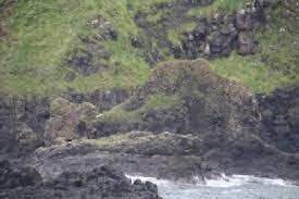 Europe > britain and ireland > united kingdom > northern ireland > county antrim > giant's causeway. What Are Giants Doing In Ireland Global Field Trip