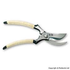 Tools Panosundaki Pin