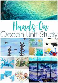 All it takes are a few simple supplies and the classroom gets a refreshing. Create An Awesome Ocean Unit Study