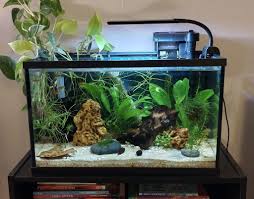 Update in comments 😊 What's your solution for covering a tank/ blocking a  jumper? Trying to figure out the best way to do it with my filter, light,  and top plants. I'm