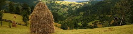 22, sighetu marmatiei, judet maramures: ContactaÈi Ne Spitalul Municipal Sighetu MarmaÈiei