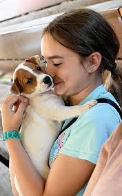 THE GUIDE 7.27.2023 by THE NEWS