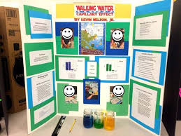 Biology Science Fair Projects Ideas 75 Science Fair Project Ideas Science Fair Projects Science Fair Fair Projects