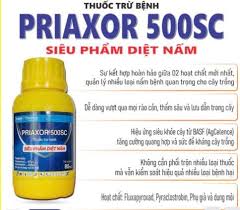 Priaxor 500SC.