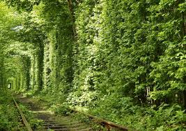 North latitude and south latitude. Tunnel Of Love Latitude Longitude Hugging Horizons Tunnel Of Love Latitude Longitude