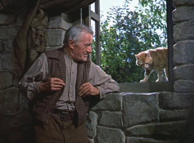 Darby O'Gill and the Little People (1959) - Cinema Cats