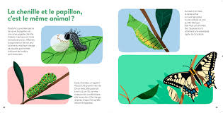 Pour s'en prémunir, quelques petites solutions « simples » existent (ces méthodes seront. Les Insectes On Behance