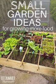 Pin On Backyard Vegetable Gardens Growing Food
