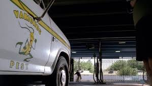 We provide professional pest control and exterminating services in baton rouge and surrounding areas, including baker, zachary, central city, denham springs, baywood, brownfields, gardere, greenwell. Vamonos I Wish Vamonos Pest Scene Breaking Bad Breaking Bad Get Shot Pests