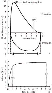 An Approach To Interpreting Spirometry American Family