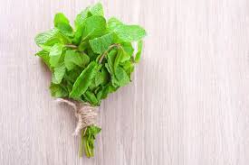 10 Amazing Things You Can Do With Mint