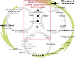HGB_UOS_PEISOR_23 3 2012_final